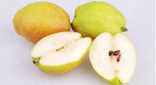 如何制作可以治疗咳嗽的“梨馒头”